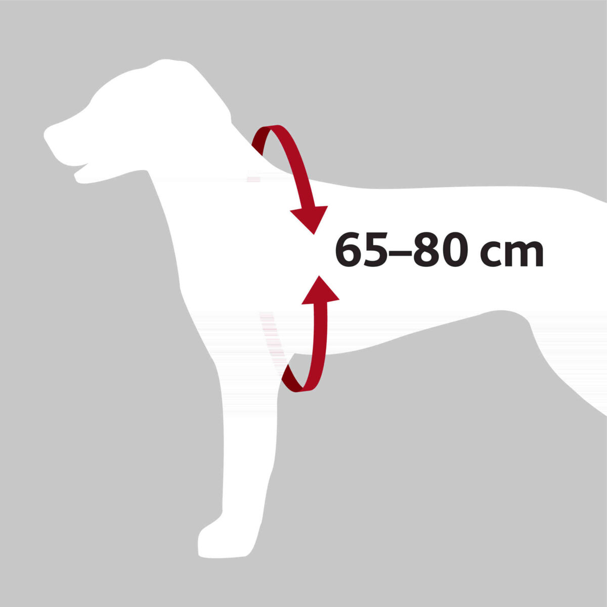 40-55 cm/20 mm black Trixie Dog Comfort car harness S-M 