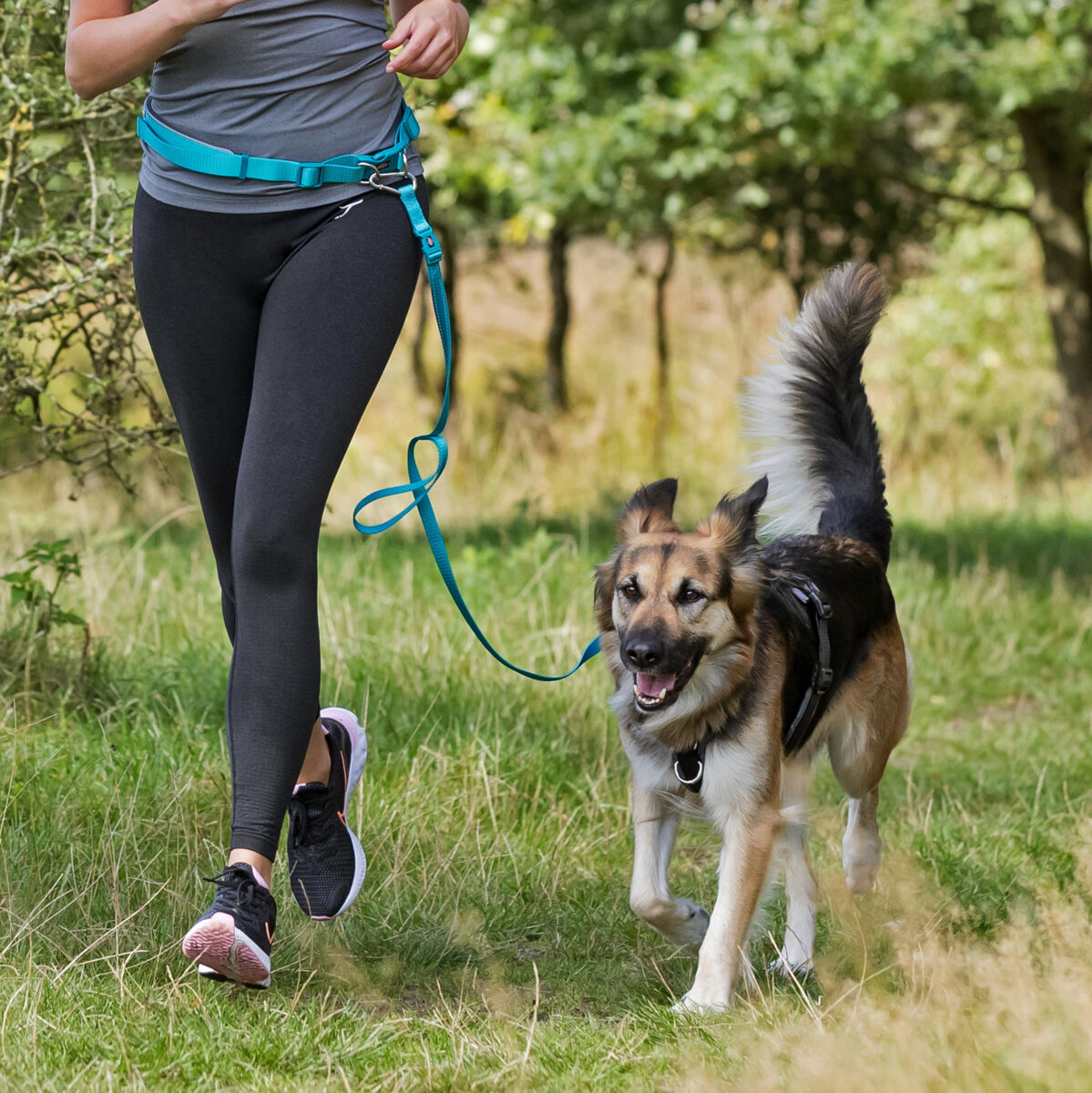 Trixie 1 laisse jogging neuve "trixie" idéal pour partager des moments avec votre chien 